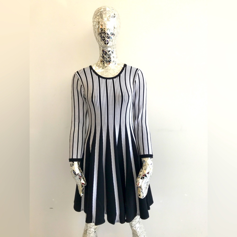 Ladies Stretch Skater Dress Form Fitting